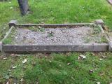 image number sg619